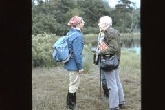 Tagung Bremen 1978. Foto: H. Dierschke.