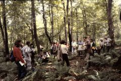 Tagung Wetzlar 1986. Foto: H. Dierschke.