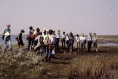 Tagung Kiel 1987. Foto: H. Dierschke.