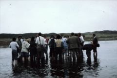 Tagung Kiel 1987. Foto: H. Dierschke.