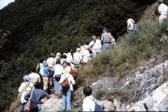 Tagung Sitten 1988. Foto: H. Dierschke.