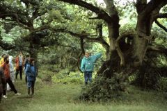 Tagung Münster 1989. Foto: H. Dierschke.