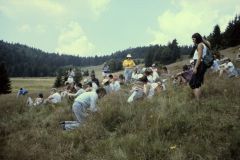 Tagung Freiburg 1990. Foto: H. Dierschke.