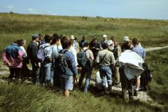 Tagung Oldenburg 1995. Foto: H. Dierschke.