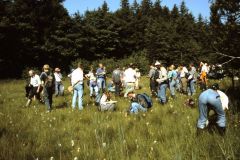 Tagung Freising 1996. Foto: H. Dierschke.