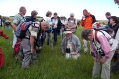 Tagung Greifswald 2008. Foto: Fotoarchiv H. Dierschke.