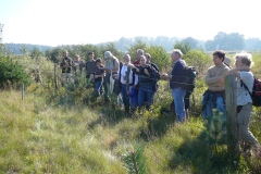 Workshop Osnabrück in 2008. Foto: A. Schwabe-Kratochwil.